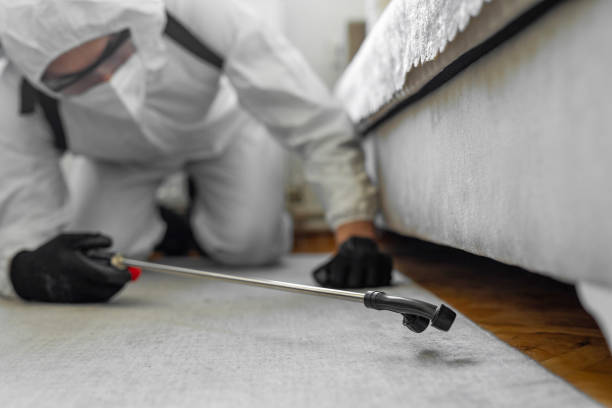 Professional Pest Control technician working in Monroe County County, AL